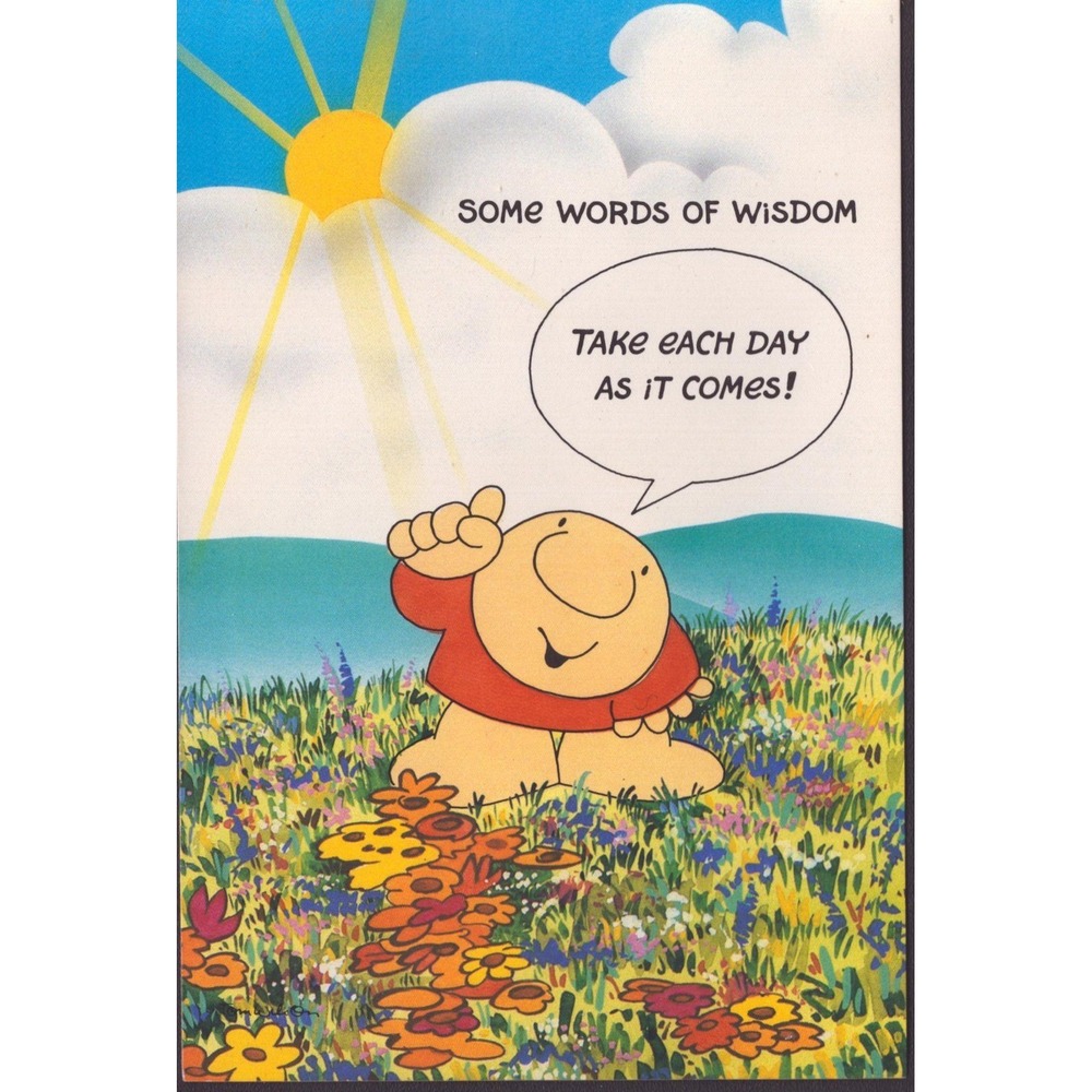 Vintage 1987 Ziggy Birthday Card American Greetings Tom Wilson Used